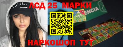 стафф Будённовск