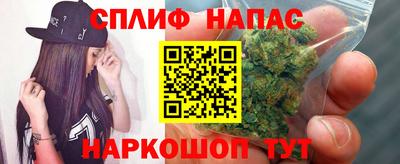 стафф Будённовск