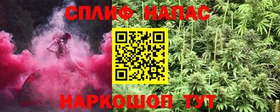 стафф Будённовск