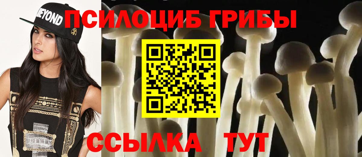 Галлюциногенные грибы Magic Shrooms  Вход с VPN  Галлюциногенные грибы прущие грибы  Переславль-Залесский 